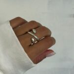 ANLI-0023