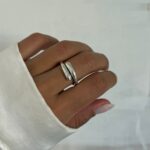 ANLI-0011