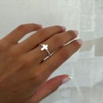 ANLI-0034