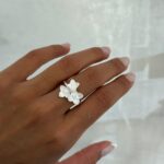ANLI-0038