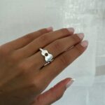 ANLI-0039